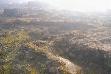 Wisenten vanuit de lucht. Foto: Harm Botman