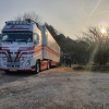 early_morning_arrival_of_the_truck_on_the_day_the_bison_were_transported_from_kraansvlak
